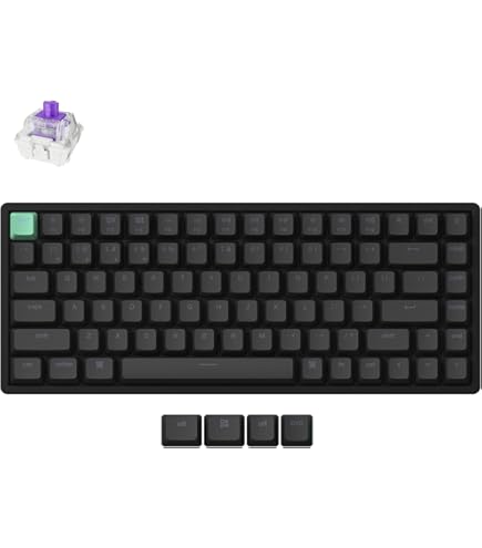 Wooting 80HE 英語配列 Linear60 v2 US-ANSI 3179HZvkLXL._SS200_.jpg